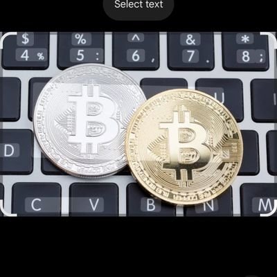 tayyab214935's profile picture. Bye my support product