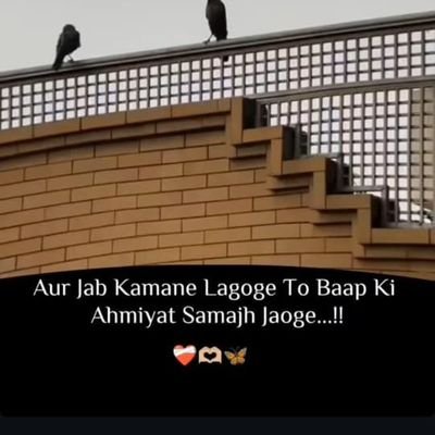 husentaii's profile picture. अच्छी 🙏बाते और सबसे 🙌नई खबरें🔥 जानने के लिए 🙏फॉलो करे। 🙌