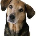 max starr - @maxstarr2 - Twitter