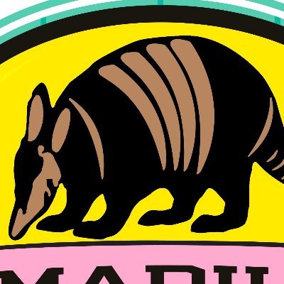 Armadillos Ice Cream Shoppe opened its doors in the spring of 1996. We are family owned and maintain family values where each customer is important to us.