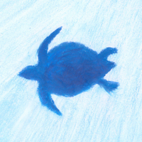 El llanto de las tortugas (@elllantodocu) 's Twitter Profile Photo El llanto de las tortugas (@elllantodocu) 's Twitter Profile Photo