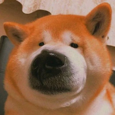 WSA4G592Mo29736's profile picture. 