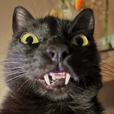 DaytonaCoDf's profile picture. Hi HC