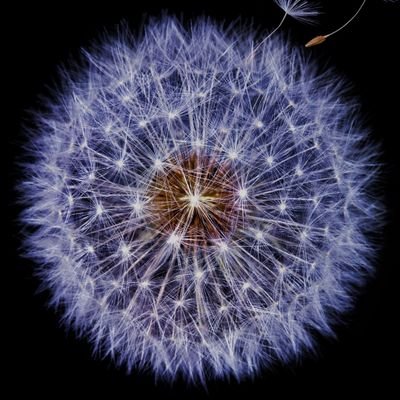 abubinbaz01's profile picture. 