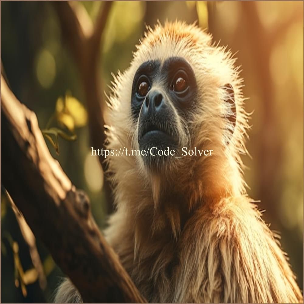CryptoData48909's profile picture. CryptoData One truth is that The best time to plant a tree was 20 years ago. The second best time is now. 📈 🌟 🔥