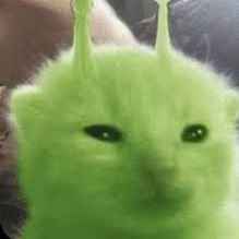 brennendingle's profile picture. 