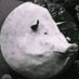 N8K4G2F9 (@n8k4g2f9) Twitter profile photo N8K4G2F9 (@n8k4g2f9) Twitter profile photo