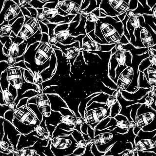 PINFINGER2's profile picture. London punk rock metal. Debut EP 'Death Spiral' out now. Recorded by Wayne Adams at BearBitesHorse studio.