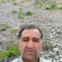 Mustafa (@mustafa833297) Twitter profile photo