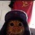 Fernando Cando (@candof573) Twitter profile photo Fernando Cando (@candof573) Twitter profile photo
