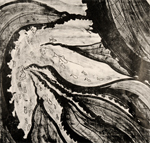 KayleyGreenland's profile picture. Illustrator, Printmaker and Regular Cupcake Baker