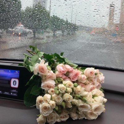 Awatef__99's profile picture. مُـعـلـمـة قـيـد الإنـشـاء👩🏻‍🏫⏳أغـرد تـحـت تـأثـير اللـحظـة..