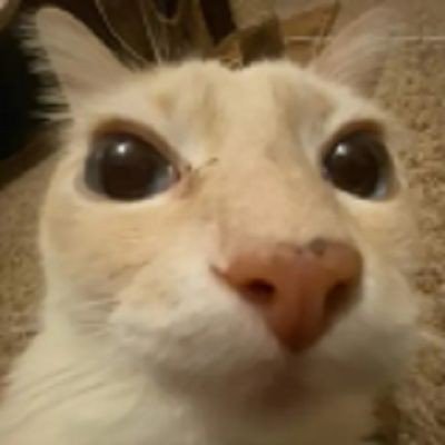 𝐒𝐓𝐀𝐊⋆˙さんのプロフィール画像