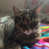 Wecek (@wecek321) 's Twitter Profile