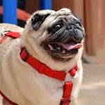 Gavr1ks's profile picture. 26 year old Conservatorium of music (piano) graduate, currently studying journalism at UQ.