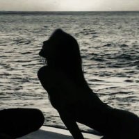 FA (@t501_a) 's Twitter Profile