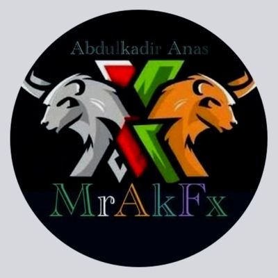 Abdulkadir Anas Profile