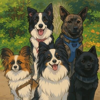 先代犬3頭との日々を経て、2022年にもうすぐ15歳のパピヨンを見送りました。
今はパピヨン×2・スキッパーキ・甲斐犬・ボーダーコリーの個性的な5頭と暮らす多頭生活🐾
気になることがあればお気軽にDMでどうぞ☺️