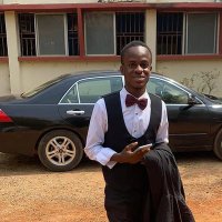 Chibueze Okonkwo Donald (@donaldxoftdev) 's Twitter Profile Photo