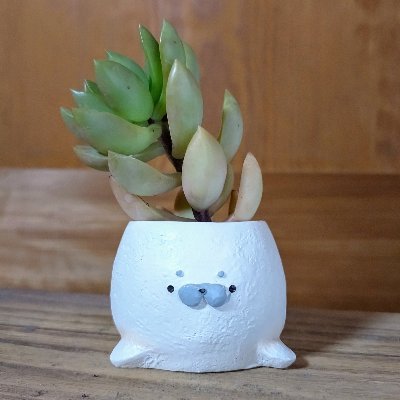 鯖の缶詰さんのプロフィール画像