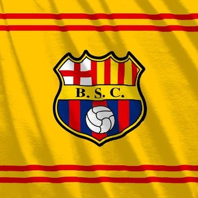 SDF1WARRIORGYE's profile picture. Con Ñeque💪,Corazón💛, y; alegría😀