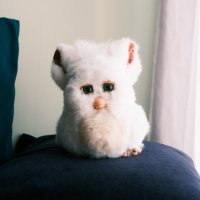 りょへい (@chipe_furby) Twitter profile photo