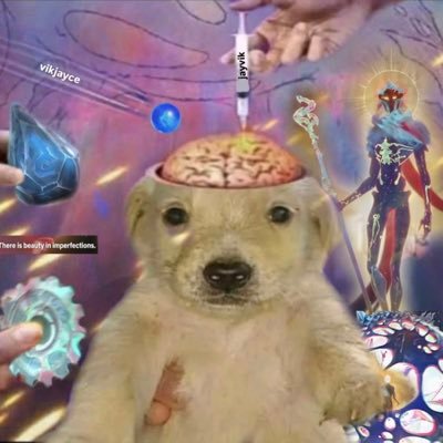 arcanehivemind's profile picture. 18+ • Professional lurker