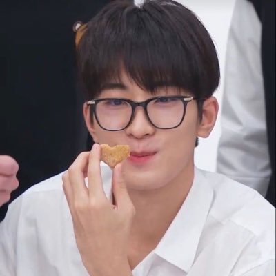 anak ng ashdres at wilca | ldr gf ni wonwoo (real) | multi-stan