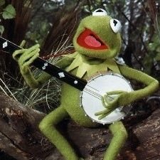 megagujjar's profile picture. 