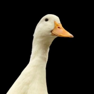 J//G0Ξさんのプロフィール画像