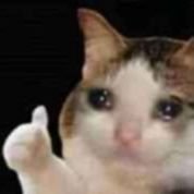 Mika1941098's profile picture. 