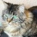 Jacquie (@jacquie052420) Twitter profile photo Jacquie (@jacquie052420) Twitter profile photo