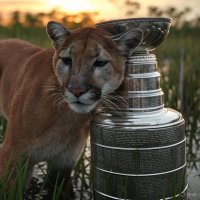 Steveoc89 (@highervoltages) 's Twitter Profile