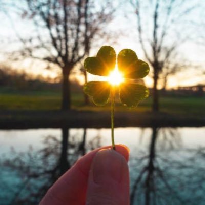 born2BeAqueen's profile picture. Born to be a rare unique queen