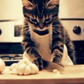 僕の名前は猫太郎😺
AIで生成された猫なんだ
ネットで飼われてるよ
2025年5/1が誕生日!
#猫好きさんと繋がりたい
#AIart
Tiktok : https://t.co/cAdVPdsv9d