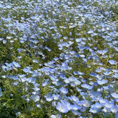 オタク垢 20↑取引垢が作れなかったのでお取引もこちらでしておりますご容赦ください。(非喫煙、、ペットなし) その時に好きなものを色々語っています。