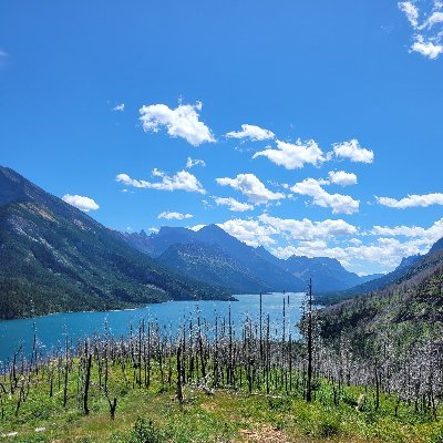 fefimoe61's profile picture. 💕Honest, hardworking, small town Alberta gal💕 Prepper paying attention to political shenanigans 😕 Don't fall for hyperbolic rhetoric, just the facts please!