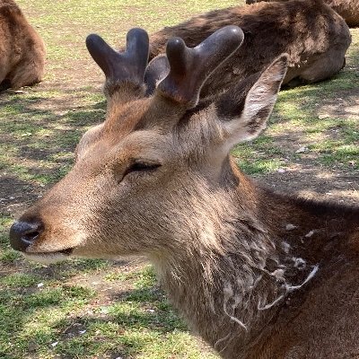 imadue_kucc25's profile picture. kucc25のいまでゅーです！
呼びにくかったらいまだでも大丈夫です！