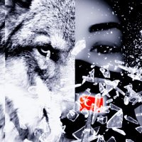 💐Elifffce🇹🇷 (@gazze7ekm) 's Twitter Profile Photo 💐Elifffce🇹🇷 (@gazze7ekm) 's Twitter Profile Photo