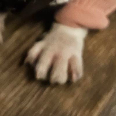 jerryppo1215's profile picture. 