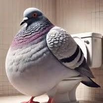 emilio1st's profile picture. 