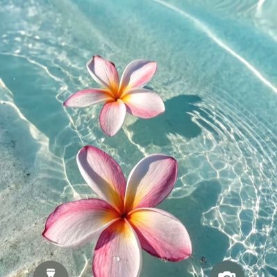 sofimorgan_'s profile picture. Live Streamer / Model https://t.co/Sdjtxv4Kzo