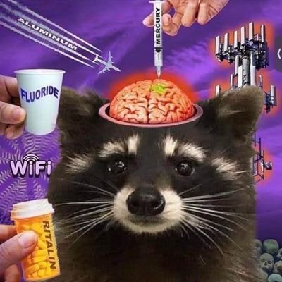 my_griddle's profile picture. 