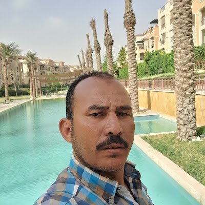 bdalwhab17119's profile picture. 