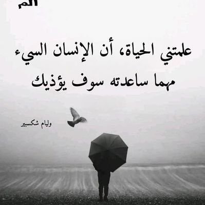 بكلوريوس علوم