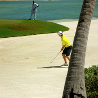 Kyle Scott (@kylescottgolf) Twitter profile photo