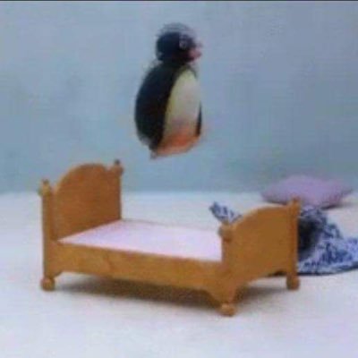 blniko1's profile picture. 