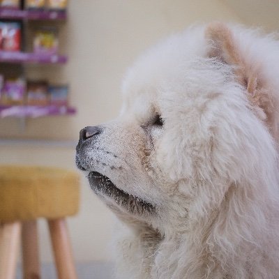 Freebird201995's profile picture. 