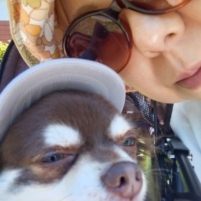 myukirakira's profile picture. 🐾🍀🐈🐕🍀🐾
ソマリのニコル♂とロンチーチョコタンのノエル♂と暮らしてます🩷吉野北人•宮世琉弥推し🩵クロミ•モモンガ推し🧡犬・猫・パンダ・爬虫類好き（特にレオパとフトアゴヒゲトカゲをいつか飼いたいと願い続けています）🤎kawaiiものが好き🖤無言フォロー失礼します_(._.)_