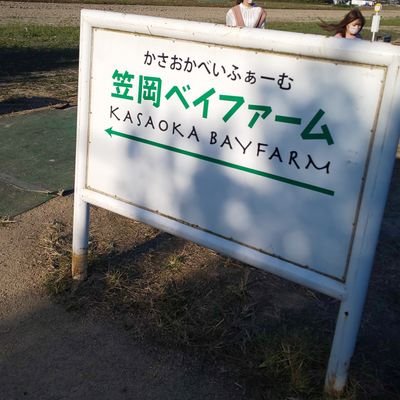 なごさん🍃🐓 (@EkuIcj5pKt18PbW) / Posts / X